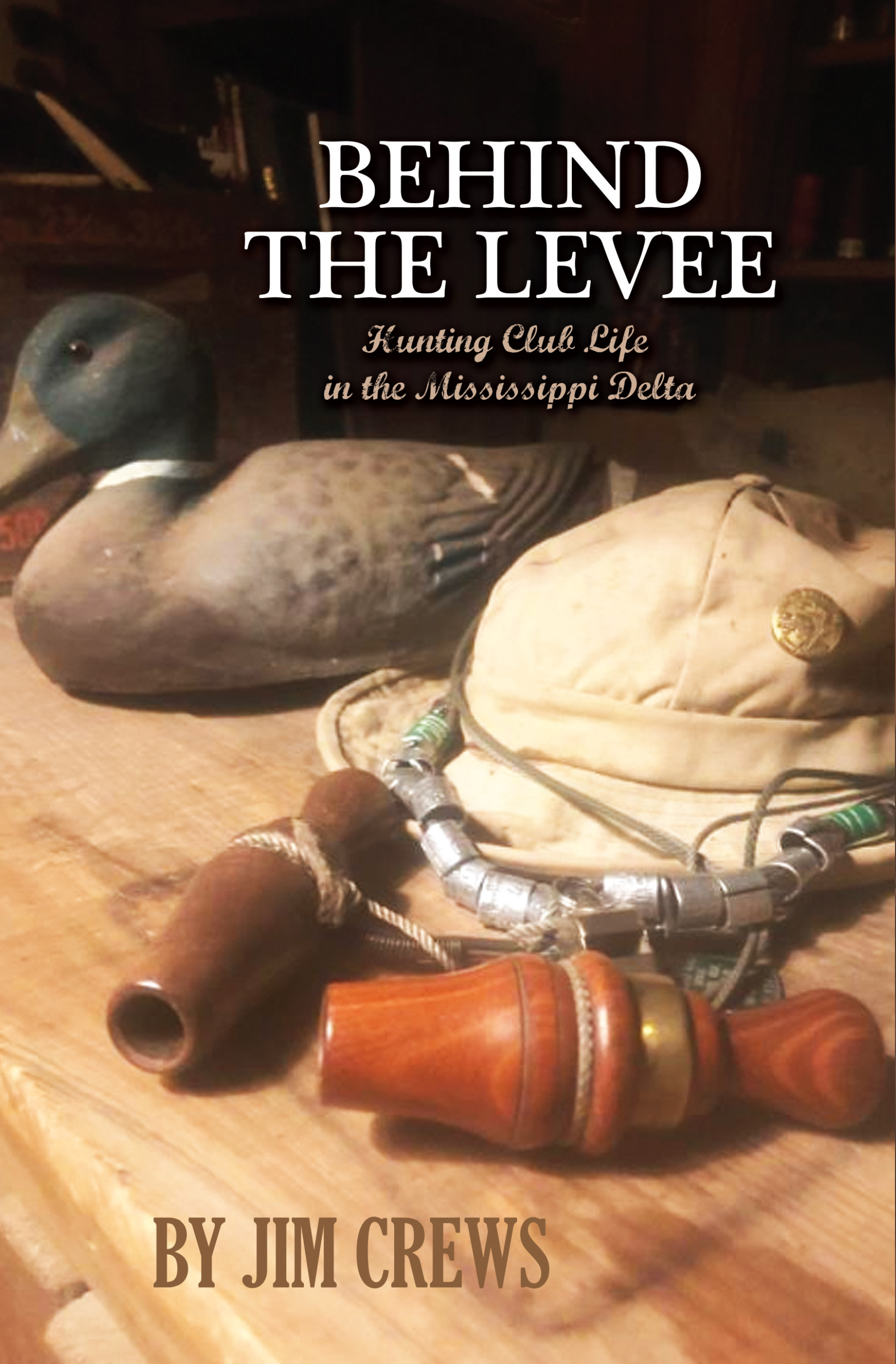 Behind the Levee by Jim Crews